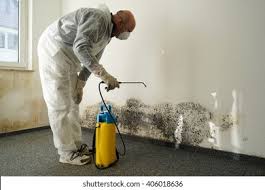 Professional Mold Remediation in Rancho Santa Margarita, CA